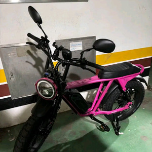 초특가 엑스라이더 x200 프로 새상품급 (맥스 듀오 PRO 터보 x) 전기자전거 자토바이 전기스쿠터 써론라이트비)