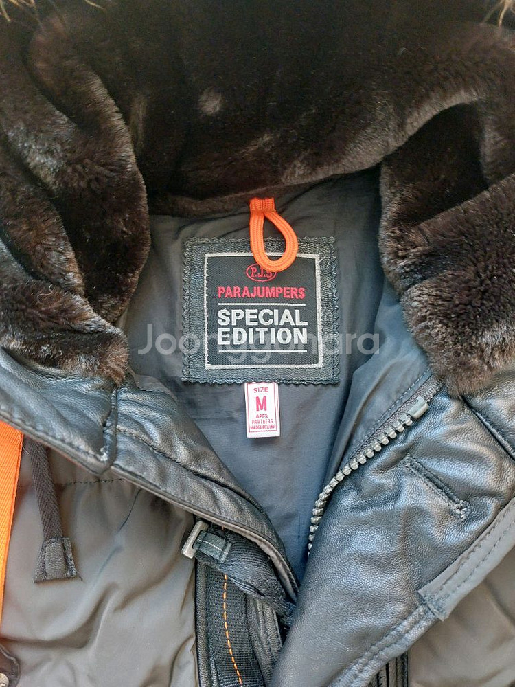 (택포)파라점퍼스 스페셜 에디션(한정판) M사이즈--2