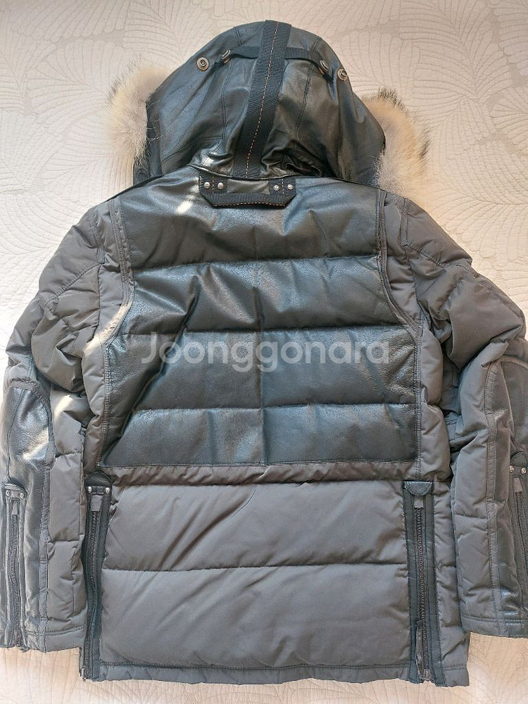 (택포)파라점퍼스 스페셜 에디션(한정판) M사이즈--5