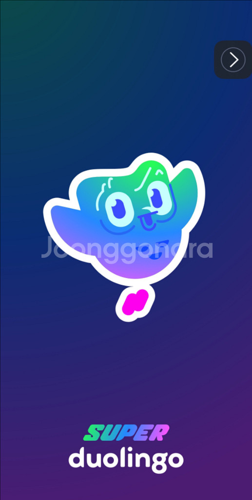 듀오링고 Super 개인/패밀리 30일~1년구독권--0