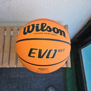 윌슨 EVO NXT 농구공