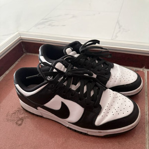 나이키 덩크 로우 범고래 255