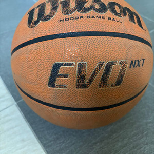 윌슨 EVO NXT 농구공
