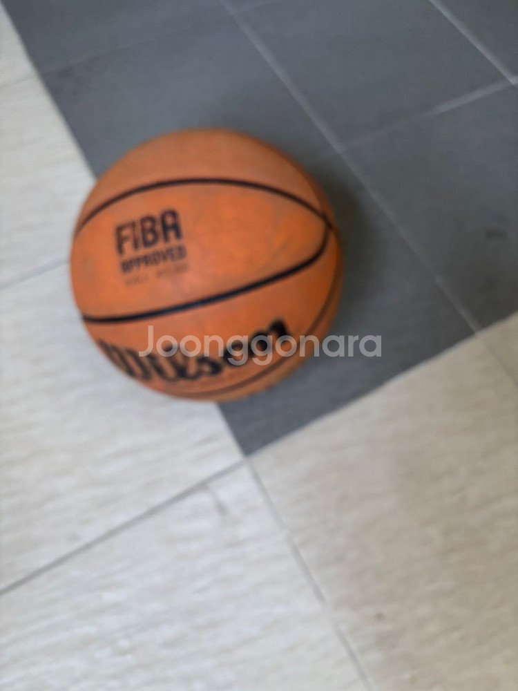 윌슨 EVO NXT 농구공--1