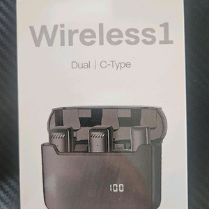 무선 이어폰 듀얼 C타입
