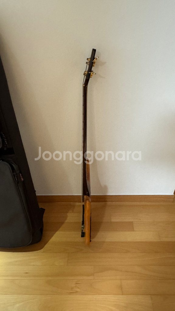 Cort Artisan 콜트 아티산 베이스기타 베이시스--6