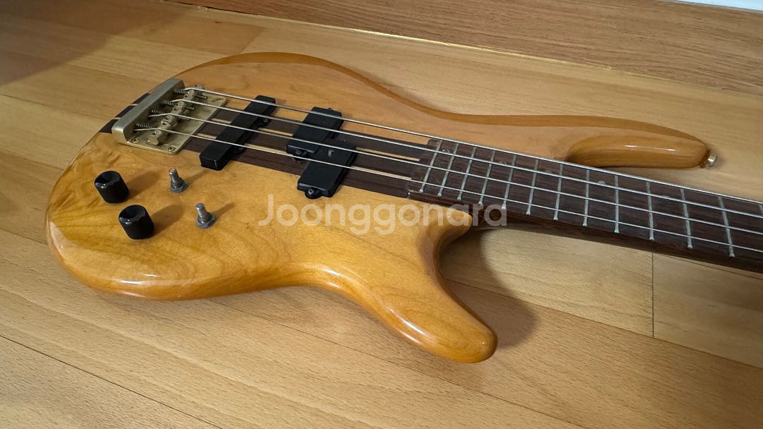 Cort Artisan 콜트 아티산 베이스기타 베이시스--7