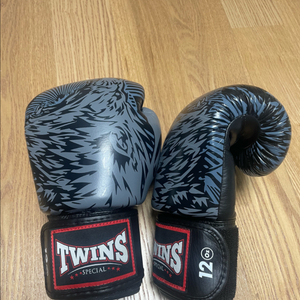 트윈스 글러브 12온즈