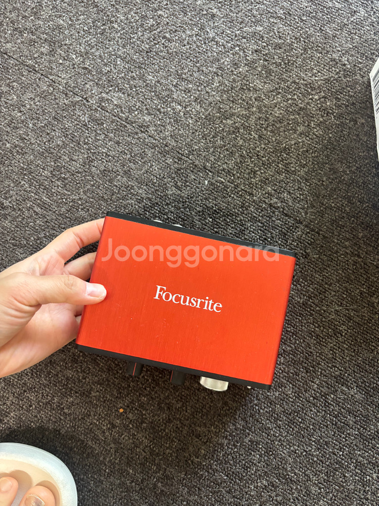 포커스라이트 스칼렛 솔로2세대--0