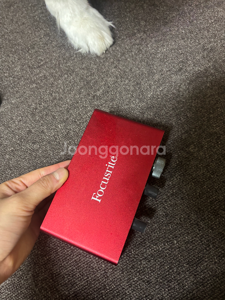 포커스라이트 스칼렛 솔로3세대--0