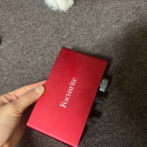 포커스라이트 스칼렛 솔로3세대