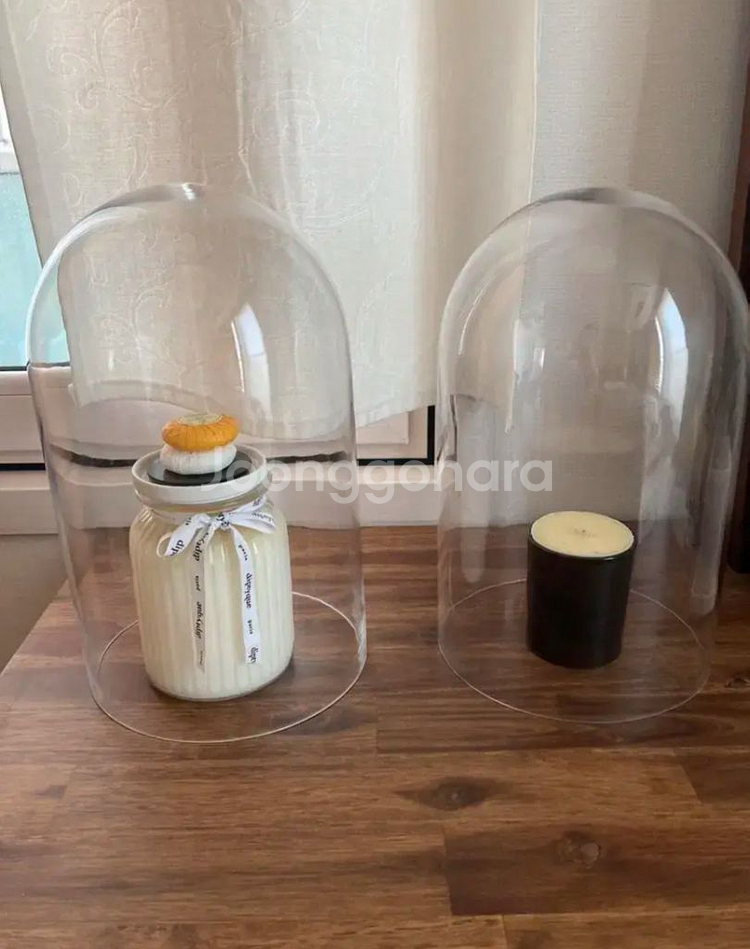 유리돔 높이 35 지름 20 cm 1개 당 6만원 카페--1