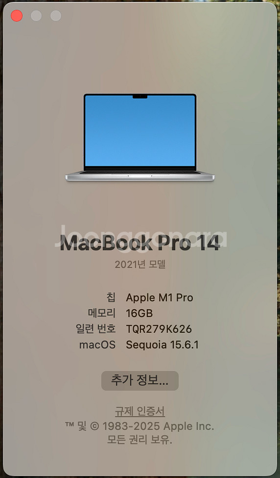 맥북 프로 M1 pro 14인치 실버 512GB + 애플 매직 마우스--6