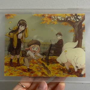 스파이 패밀리 아크릴 액자 2개 일괄 판매합니다.