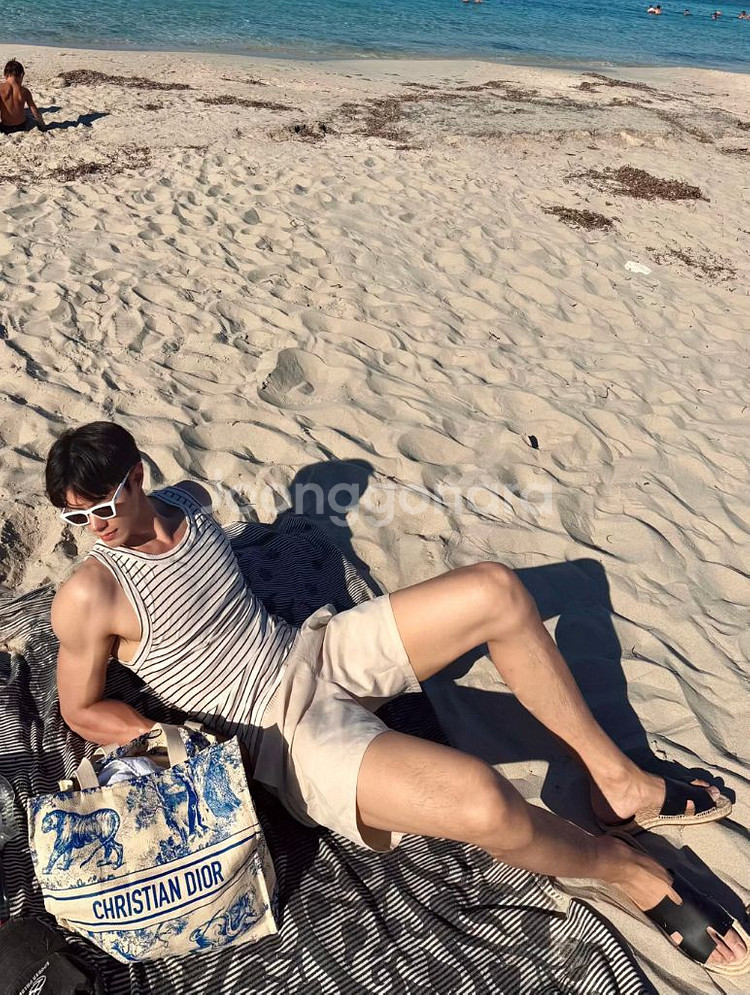 디올 리비에라 에코백 블루--4