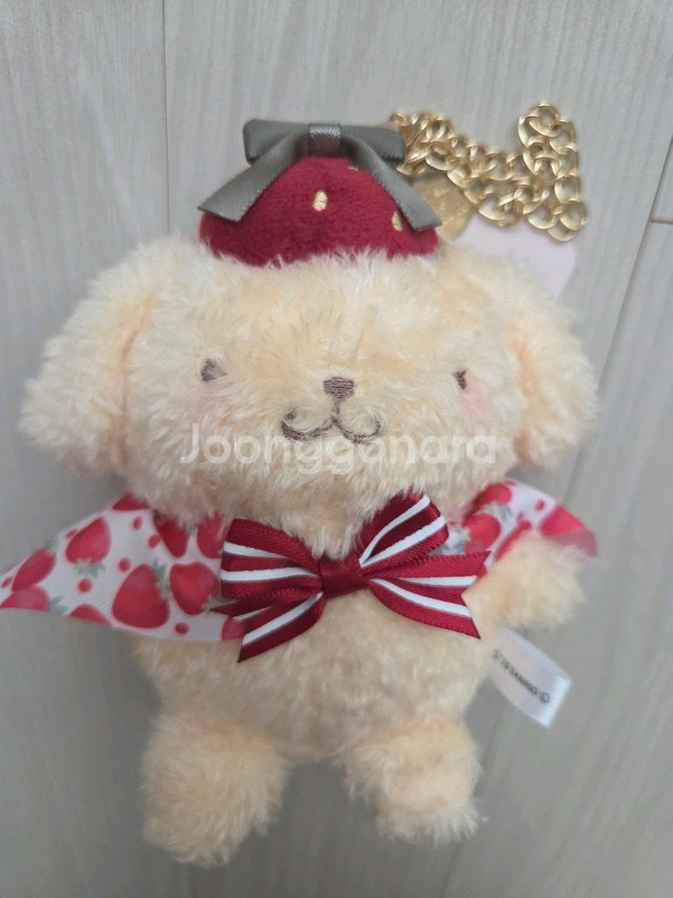 메종드플뢰르 폼폼푸린 (폼푸)--1