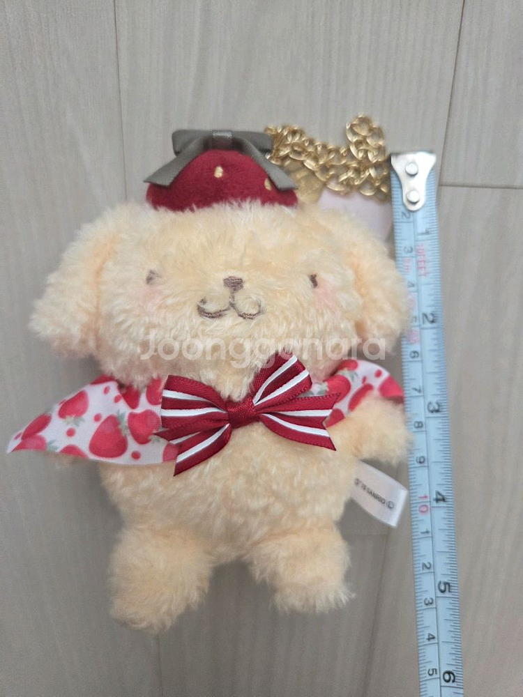 메종드플뢰르 폼폼푸린 (폼푸)--2