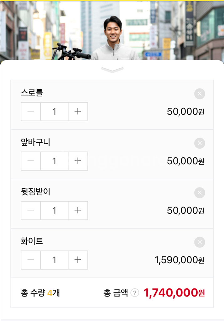 부릉이 플렉스 전기자전거(스로틀, 앞바구니, 뒤짐받이 옵션포함), 뇌울림 경보기 포함--5
