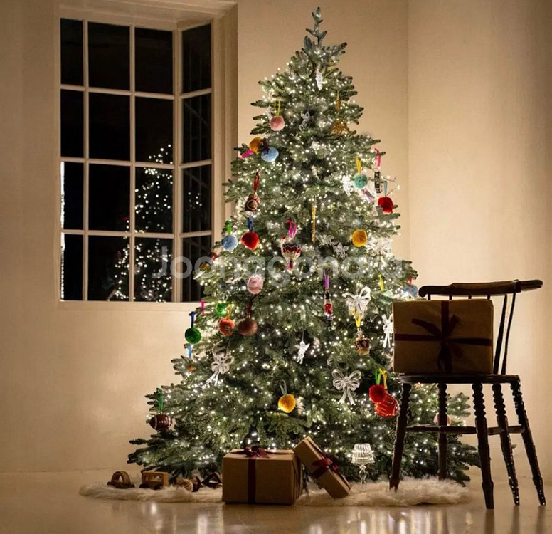 아보드 트리 190cm +전구 + 제이닷 오너먼트--1