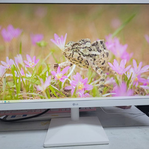 LG(24MN430HW)IPS 24인치모니터