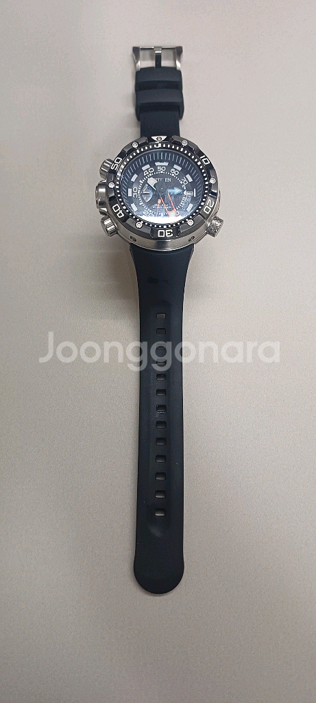 시티즌 프로마스터 에코 드라이버--1