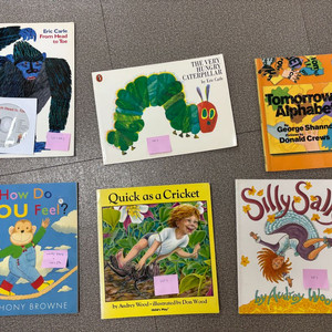 영어그림책 노부영 에릭칼 앤서니브라운 등 원서 6권