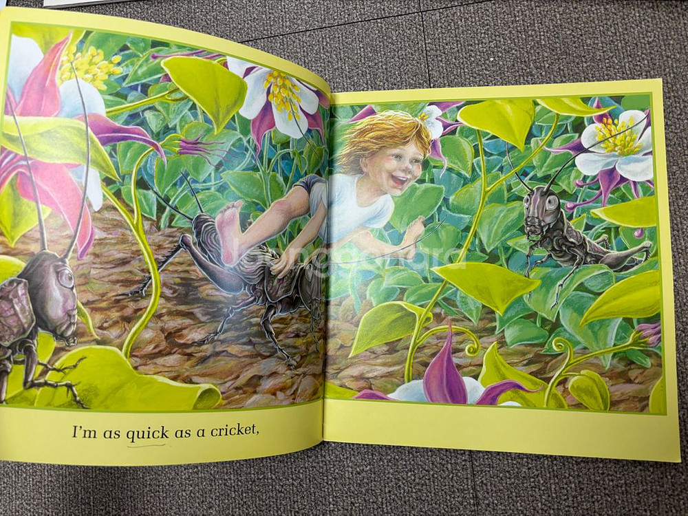 영어그림책 노부영 에릭칼 앤서니브라운 등 원서 6권--6