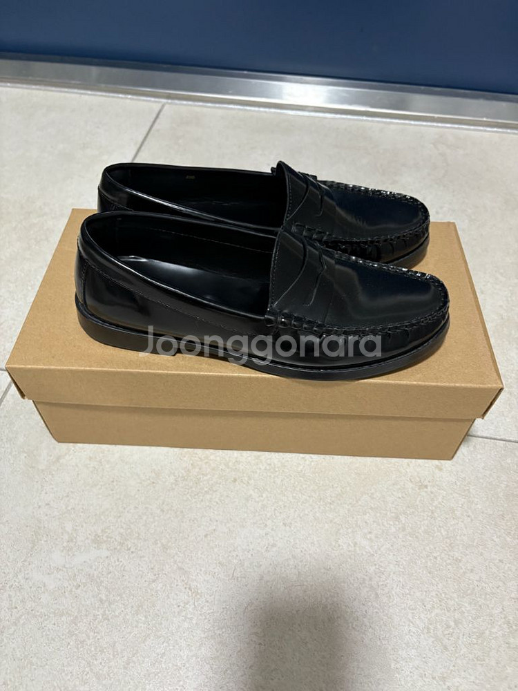 쿠에른 디종 페니로퍼230--2