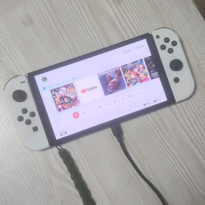 닌텐도 스위치 라이트