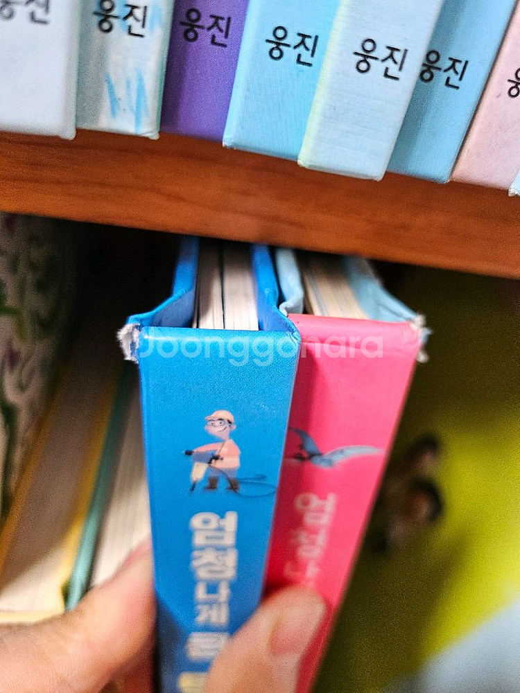 Usborne 어스본 너도찾았니? 엄청나게 큰 백과 요리조리세트--1