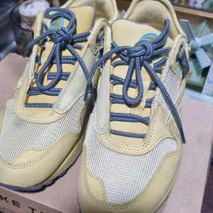 나이키 스캇 캑터스 골드 판매합니다.