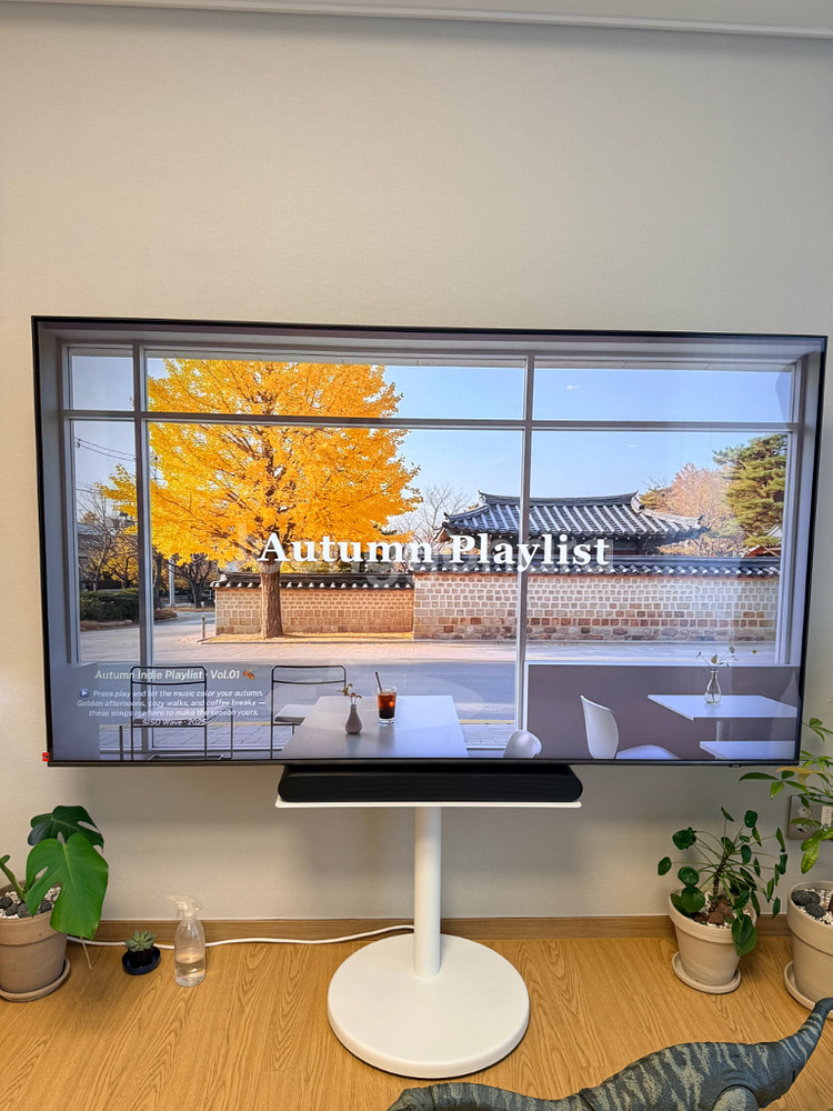 삼성 QLED 75인치--0