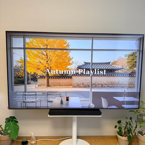 삼성 QLED 75인치