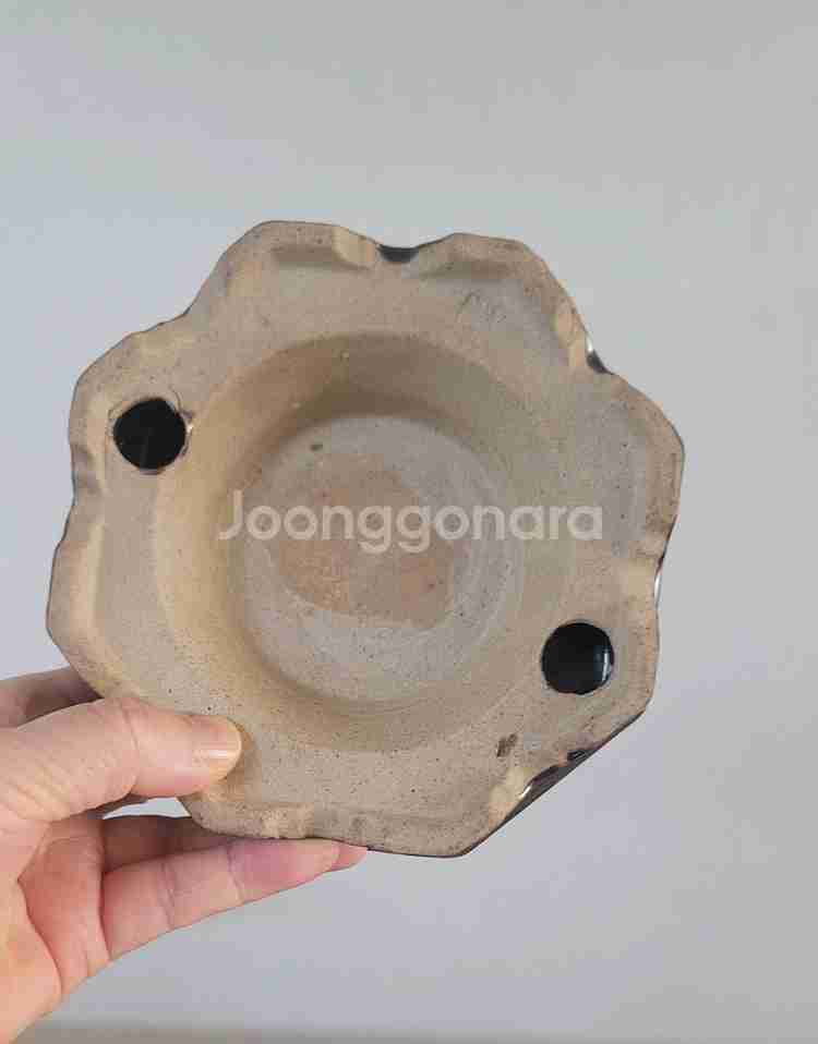 분재화분 천광분 화분받침대--4