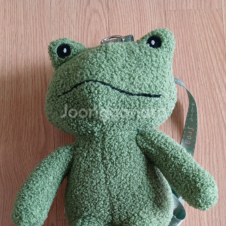 개구리 인형 가방--0