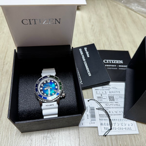 시티즌 프로마스터 다이버 시계