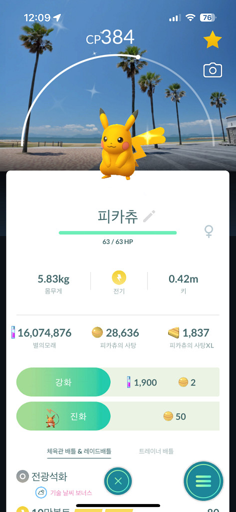 포켓몬고 미야자키 배경 이로치 피카츄 판매--0