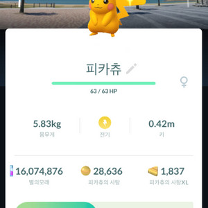 포켓몬고 미야자키 배경 이로치 피카츄 판매