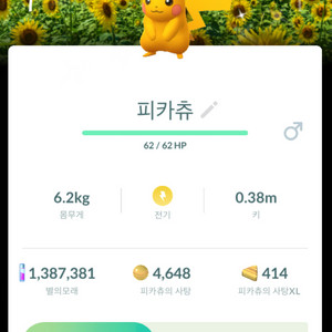 포켓몬고 가고시마 배경 이로치 피카츄 판매