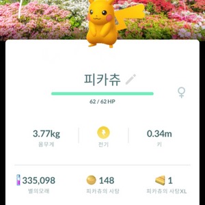 포켓몬고 나가사키 배경 이로치 피카츄 판매