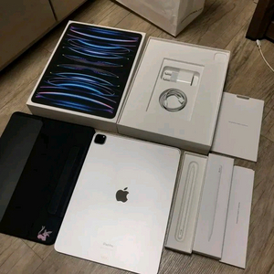 아이패드프로 6세대 12.9인치 256gb 셀룰러 +애플펜슬2+애케플