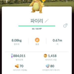 포켓몬고 프랑스 배경 이로치 파이리 판매