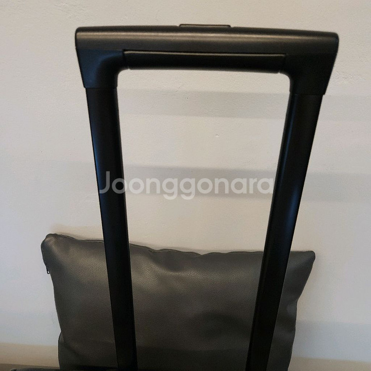 루이비통여행가방 페가세 케리어 65 그라피트--2