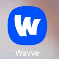 웨이브 프리미엄1년 이용권(파티원3분)