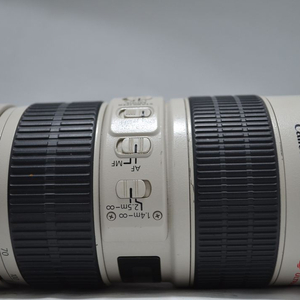 5DMark4오막포.5DMarK3오막삼.오두막 캐논70-200캐논24-105L캐논16-35L EF24-70