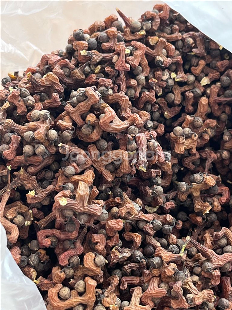 국내산 말린 헛개열매--0