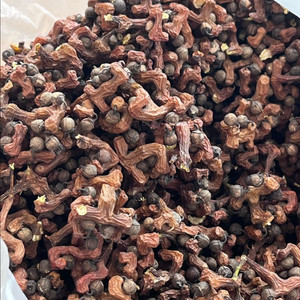 국내산 말린 헛개열매