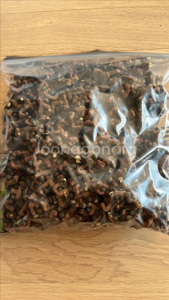 국내산 말린 헛개열매--1