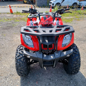 사발이는카요~~ 불200 신차 할인판매