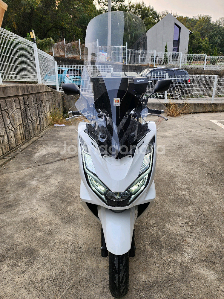 23년식 혼다 PCX 125 ABS 화이트 판매--2